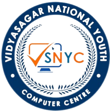 VSNYC FEED Logo